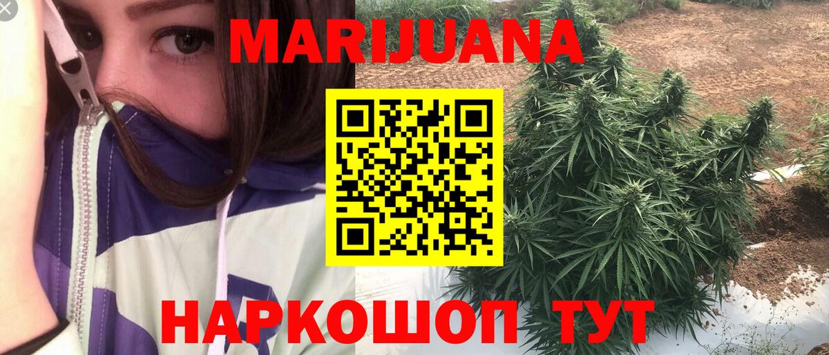 Канабис конопля Астрахань